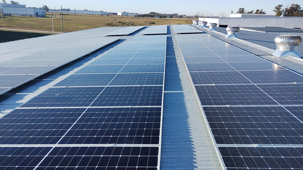 Textil Carluccio - Cardales (Dynamic Energy).jpg