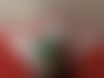 【折形と水引で屠蘇飾りを制作 生徒様の作品】折形、水引カルチャー俱楽部