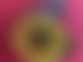 【水引講座 初級コース 生徒様の作品】折形礼法、水引カルチャー倶楽部