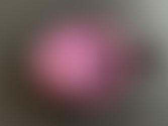 【水引アクセサリー講座 生徒様の作品 ブローチ】折形礼法、水引カルチャー倶楽部