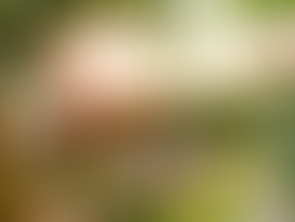 ¿Conoces la leyenda del pastor que descubrió el café?