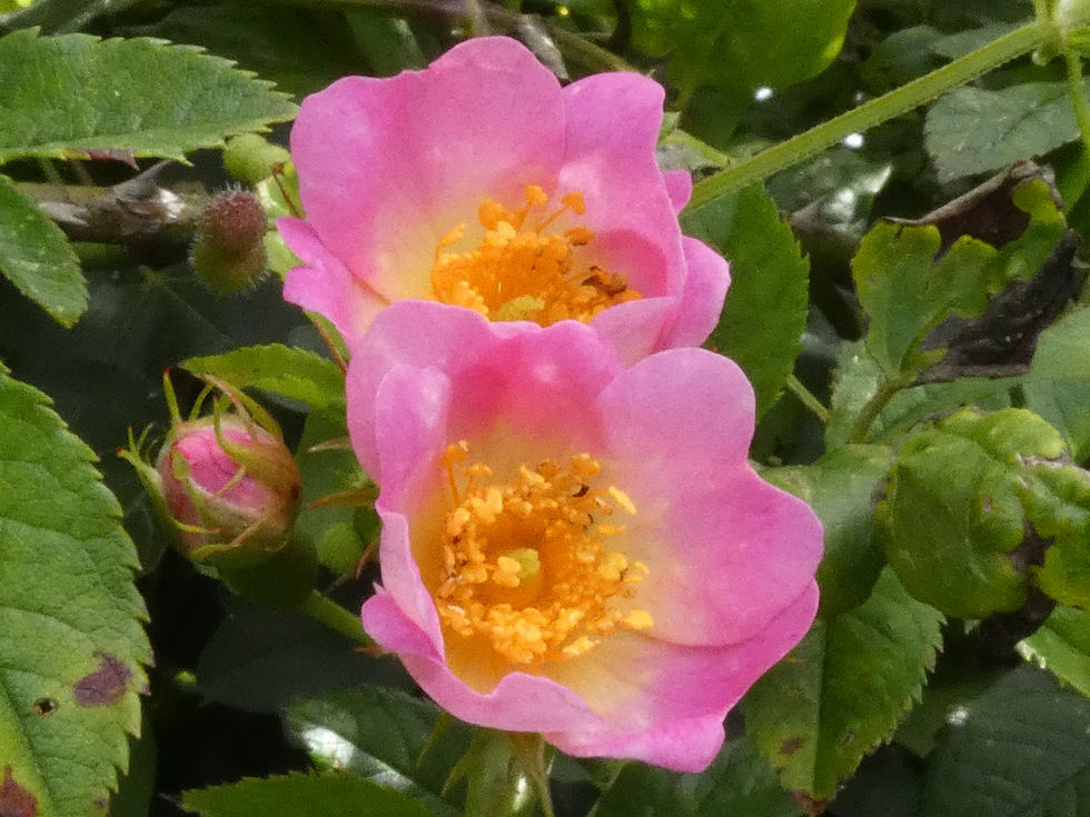 P1110378