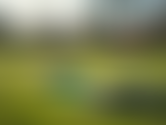 Portable Mini Golf Setups: Flexible Fun for Any Event