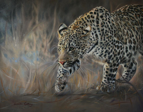 Velvet Tread ~ Lucinda Coldrey Fine Art