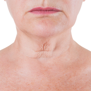 shutterstock_1487054567a.png