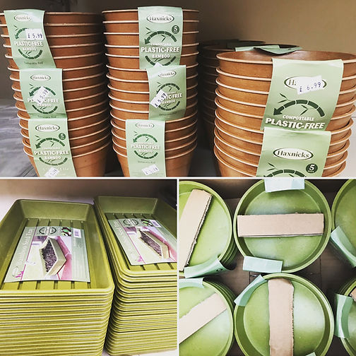 Plastic Free Pots