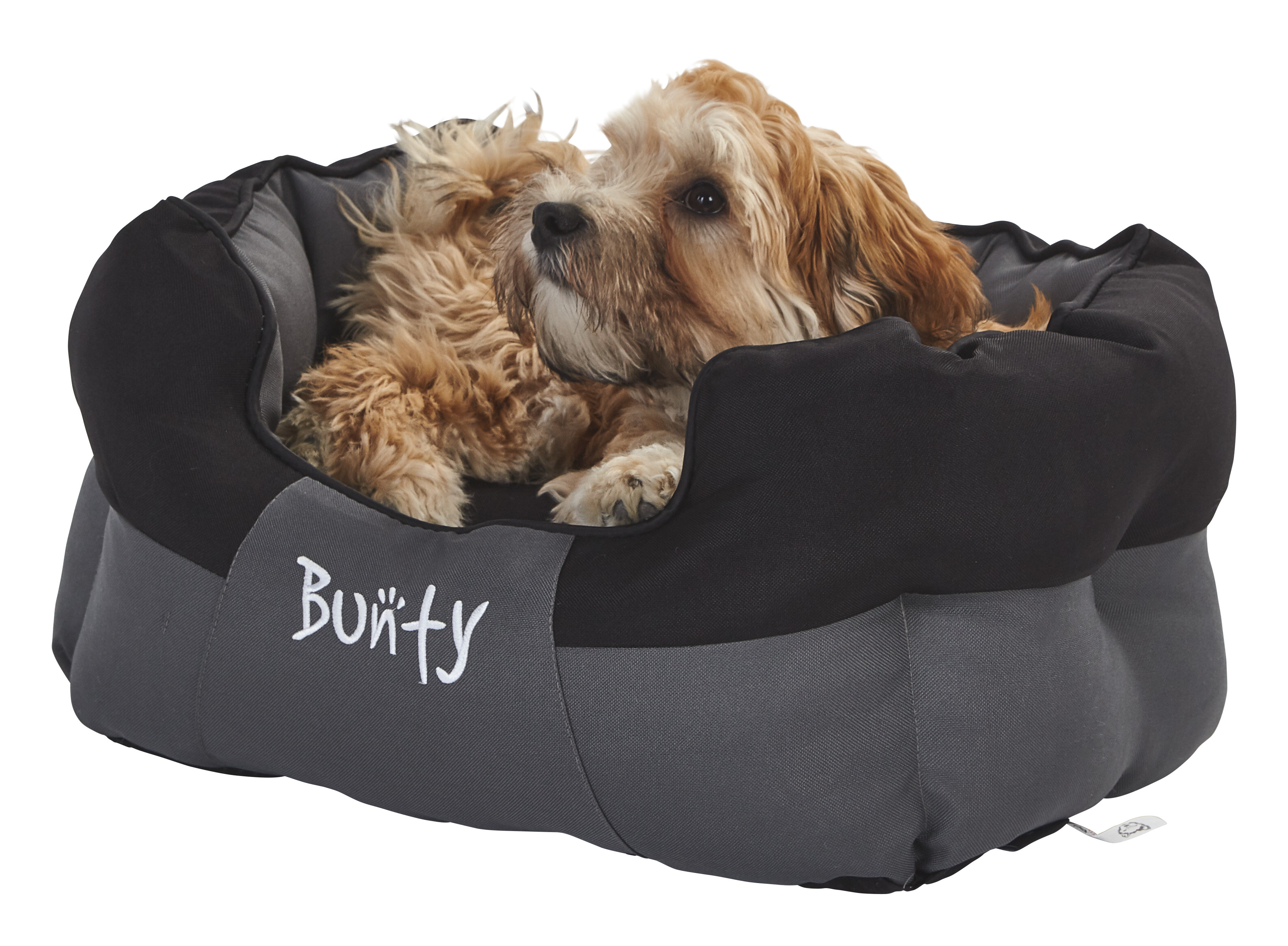 bunty dog bed