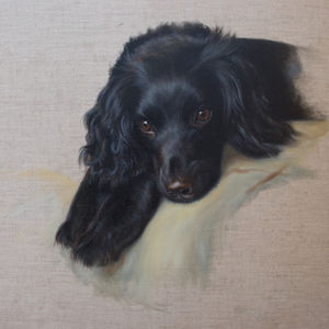 Bramble - My beautiful dog ~ Lucinda Coldrey Fine Art