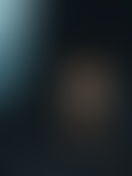 Le faux arbre : L'ingéniosité du camouflage espion au cœur des forêts dévastées