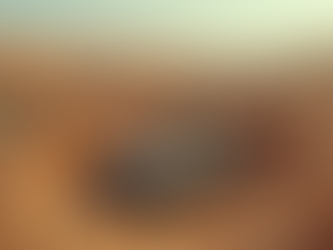 La chasse aux trésors oubliés : Déterrer les secrets des cartouches Atari à Alamogordo