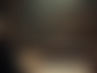 Juicios a Bestias: La Increíble Historia de Animales Juzgados en la Edad Media