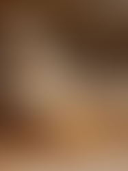 Die Venus von Willendorf: Symbolik von Fruchtbarkeit in der kargen Welt der Steinzeit