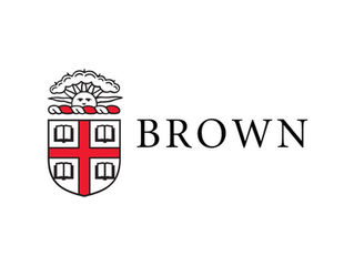 BROWN/TRINITY MFA ACTING CANDIDATE 