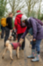 Walk With Pawla | Pawla