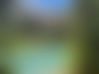 Epic Travel Reviews: Unforgettable Expedition Experiences