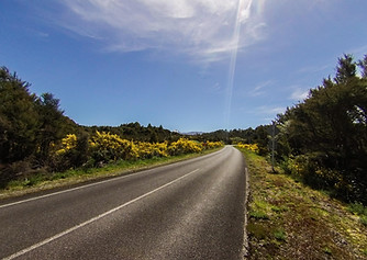 New Zeland Working Holiday - before arrival