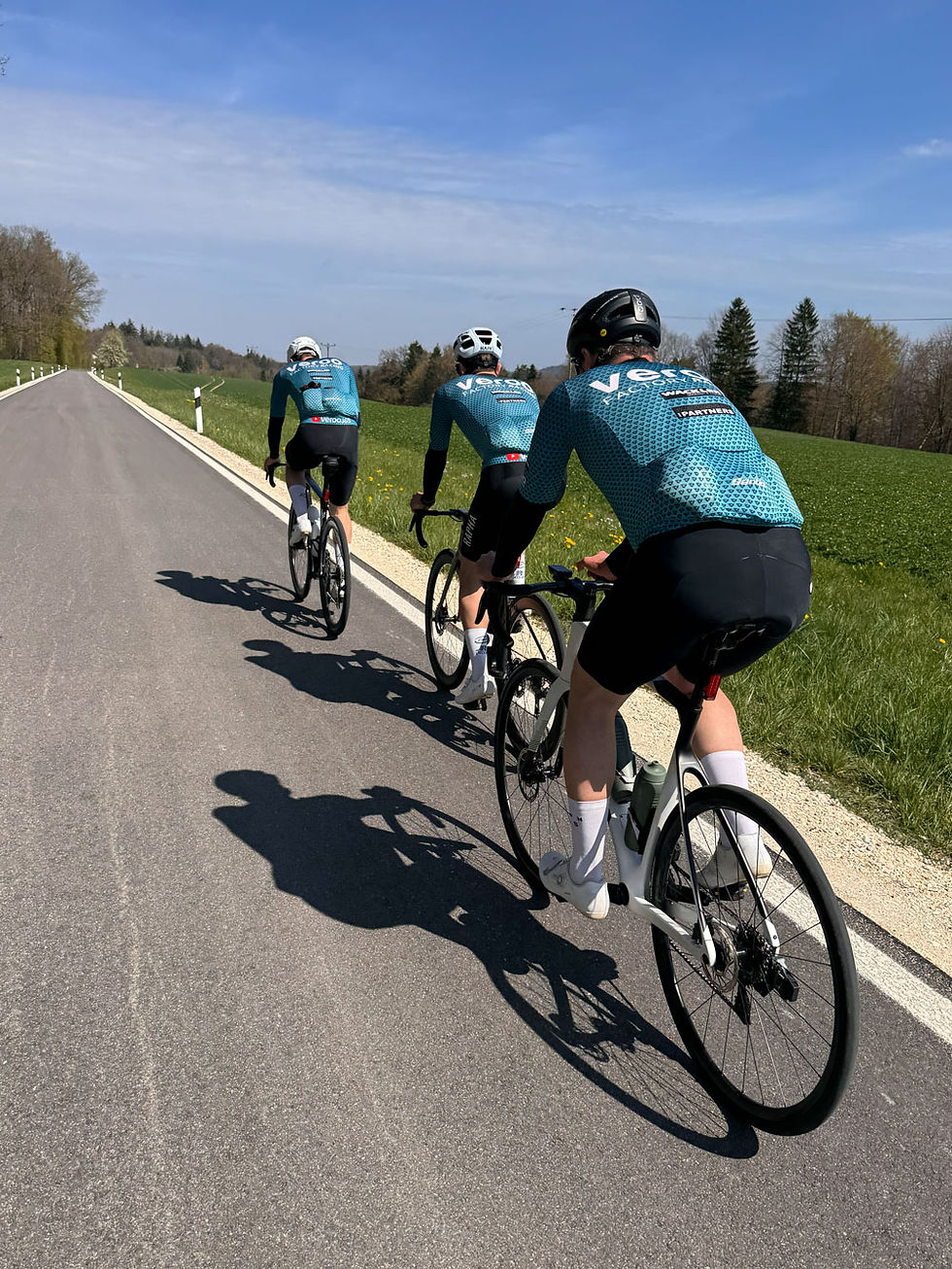 Rennräder auf Landstraße
