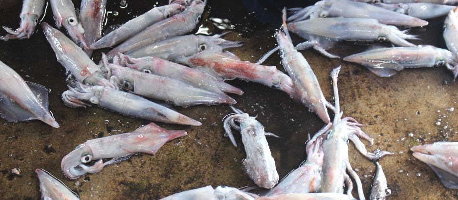 色の美しさ <桃源紀行 no.4>