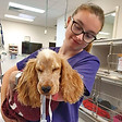 Hills District Vet
