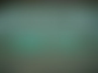 A Light Walk...Our Gift to You