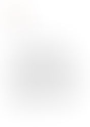 SOLIDARITÉ SOUVERAINISTE !