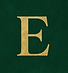 Golden _E_ on Emerald Green Velvet (1).png
