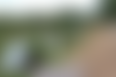 News Letter & Review of 2025