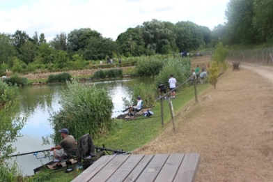 News Letter & Review of 2025