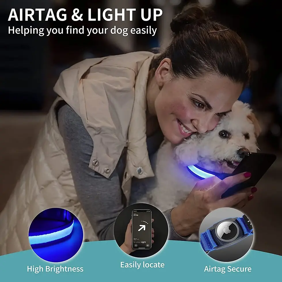 Thumbnail: led waterproof dog collar with built in airtag holder