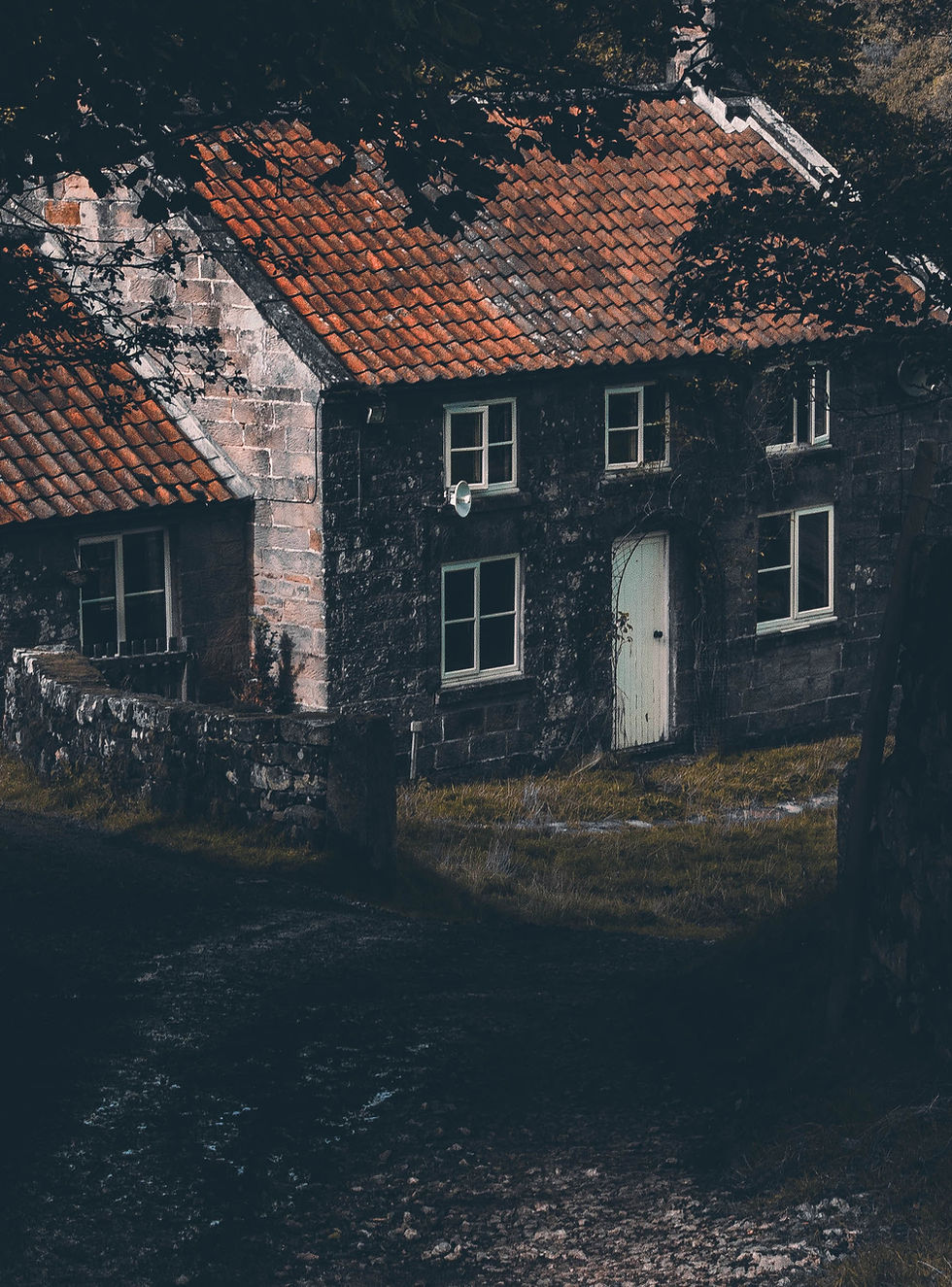 House in the Woods