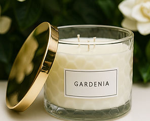Gardenia copil single_edited.jpg
