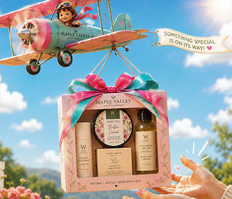 Gift AirplaneCHADimagecollections_edited