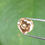 Thumbnail: 0.57 CT 5.4 X 5.3 MM Natural Heart Cut Fancy Diamond Love promise Ring Gifts