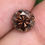 Thumbnail: 2.02 CT 7.8 MM Natural Champagne color Cognac Round Brilliant cut Diamond