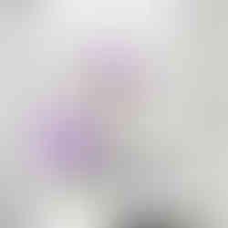 Greeting card featuring a duo of purple blooms on a gray patterned background with a thin black border