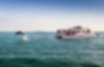 Dolphin & Snorkel Adventure