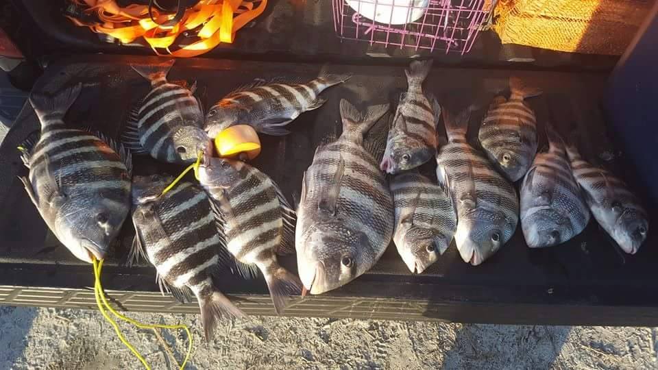 Tybee Island Kayak Fishing Charters