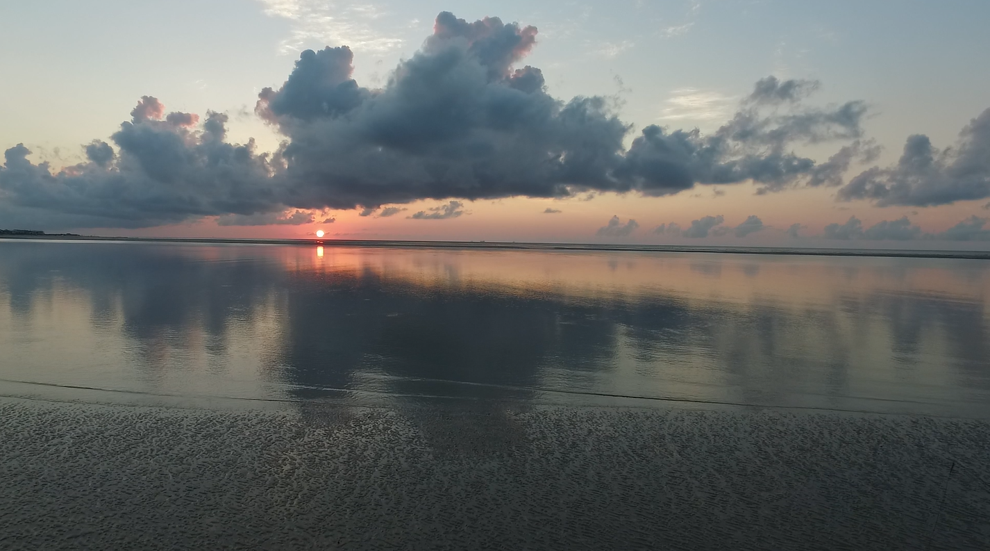 Tybee Island Kayak Rental and Guided Kayak Tours