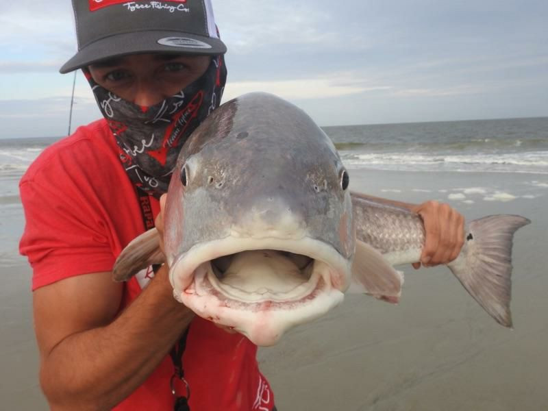 tybee island fishing tournament
