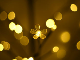 E se tudo se repetisse infinitamente, você escolheria o mesmo?