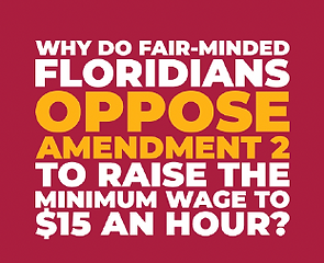 A graphic opposing Amendment 2