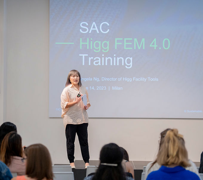 Higg FEM 4.0 web 019.jpg