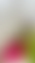 Priti Mehta is a name that crafts elegance and empowers women!