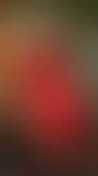 Shambhavi | 100 Inspiring Entrepreneurs of India 2023