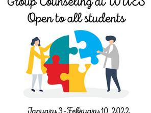 Group Counseling and Needs Assessments for WUES