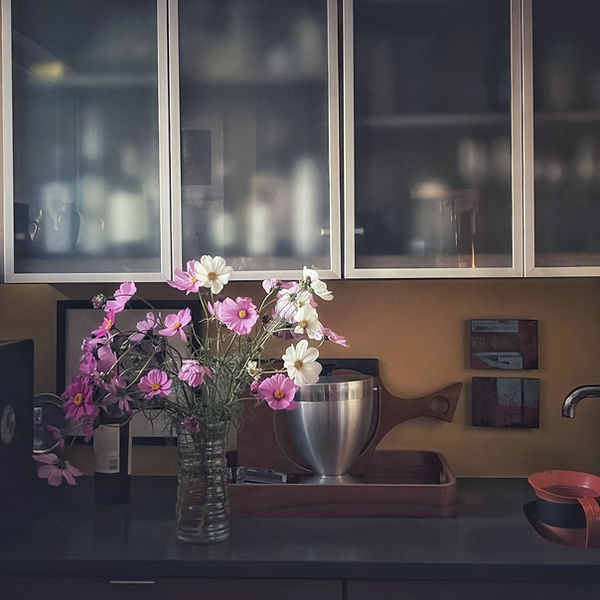 FullSizeRender 237.jpg