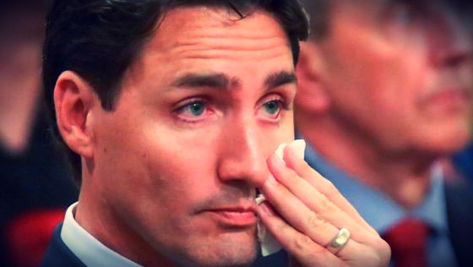 Canada, Immigration: Douloureux retour à la réalité.