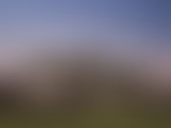 COUNTRY INN - HOMEWOOD AL