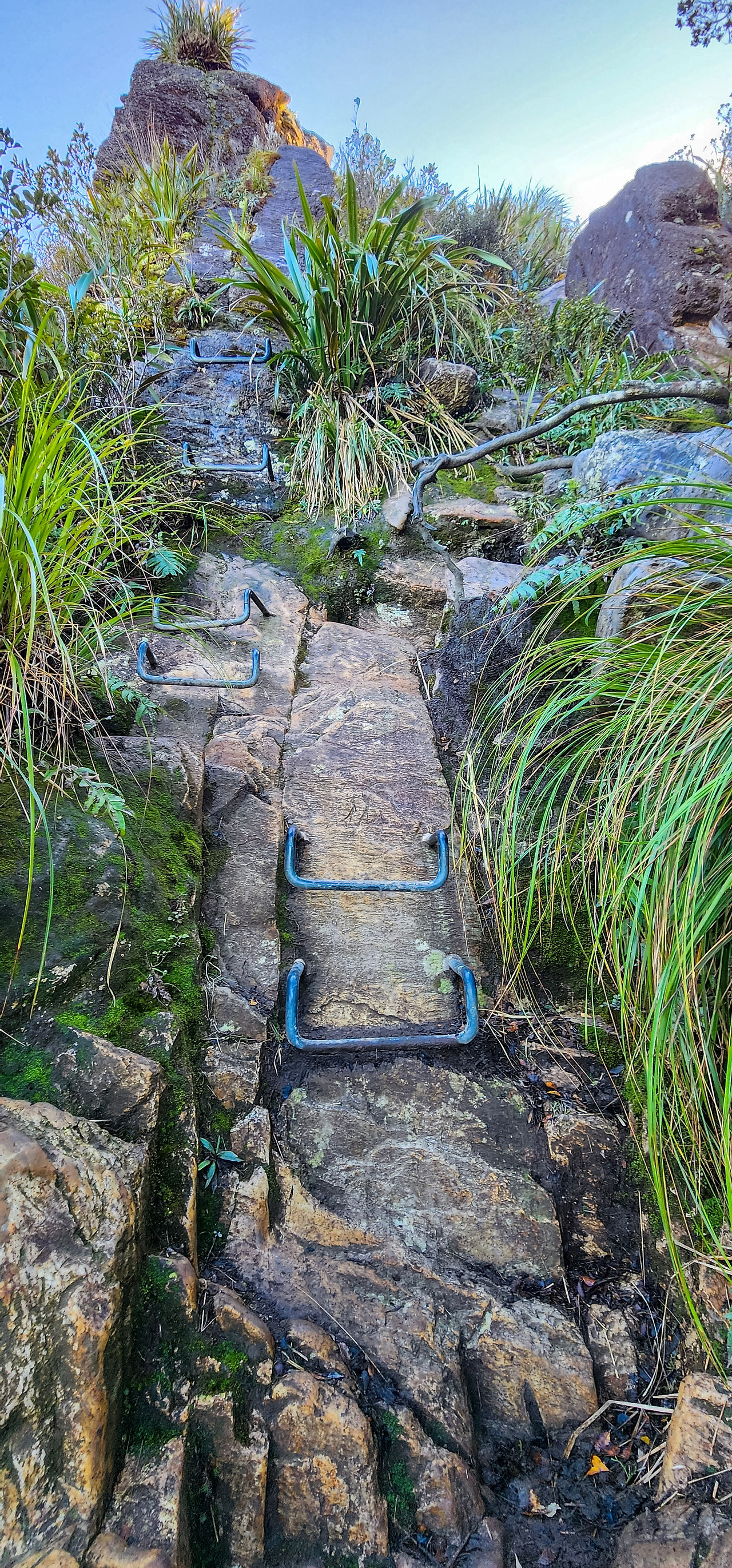 Rungs to climb the rocks near the top of the Pinnacles