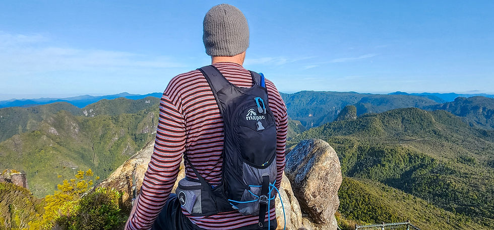 Person in striped shirt and beanie stands on mountain, wearing a black backpack. Vast green hills and blue sky in the background. The Pinnacles Coromandel
